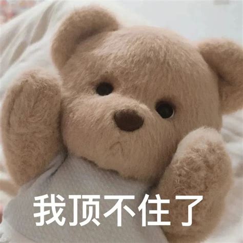 各种熊可爱表情包图片 各种熊可爱表情包图片