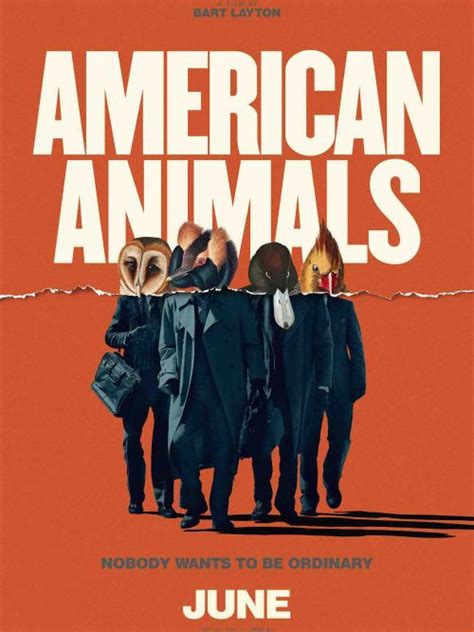 美国动物-电影-高清在线观看-hao123影视