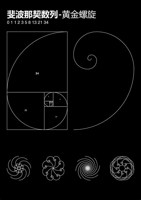 黄金分割,斐波那契螺旋线,达芬奇,公式,数学,几何学,数学符号,几何形状,灵性,纹理效果设计模板,汇图网www.huitu.com