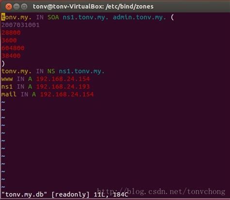 ubuntu 搭建局域网内DNS服务器_Tonvchong的博客-CSDN博客_ubuntu 局域网dns服务器