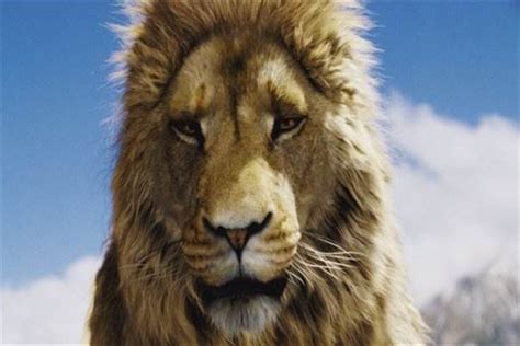 十大传奇狮王都有哪些 狮子王的主人公正是辛巴_探秘志