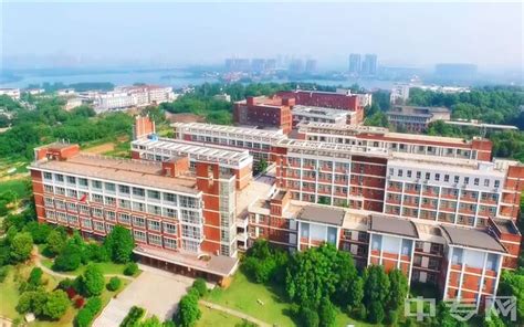 武汉城市职业学院-掌上高考