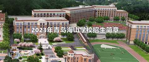 私立青岛海山学校2023年招生结果-青岛海山学校