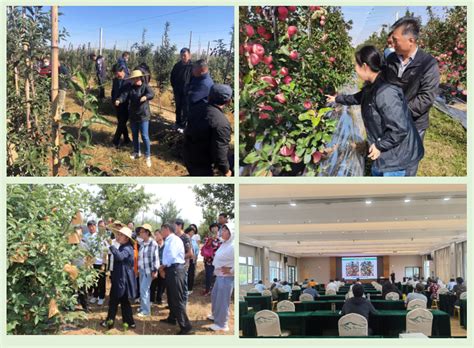 中国农科院果树所诸城果树产业研究院建设有序推进