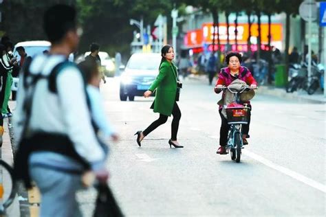“中国式过马路” 请看“杭州样本”-中国网浪潮新闻