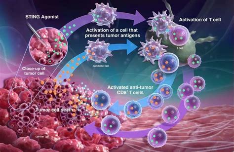 【靶点新势力】如何打造可用于癌症免疫治疗的细胞因子 - 商家动态 - 生物在线 Lab-on-Web