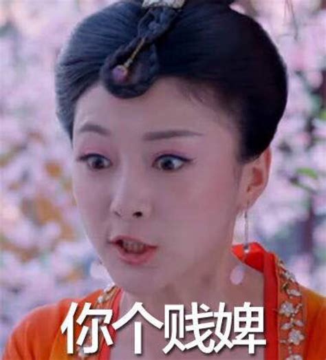 贱人图片