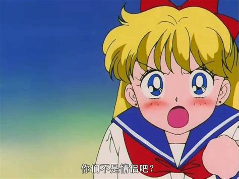 美少女战士爱野美奈子(水手金星)/自图片