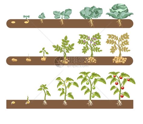 作物 生长 到底 需要 哪些 元素 - 化肥价格资讯 - 新农资360网|土壤改良|果树种植|蔬菜种植|种植示范田|品牌展播|农资微专栏