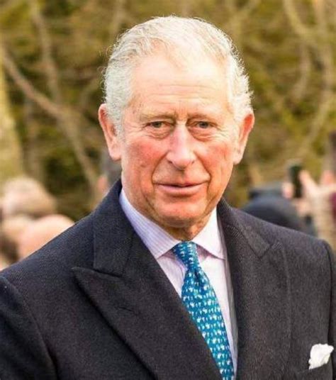 查尔斯继位成为英国国王 将被称为查尔斯三世_凤凰网