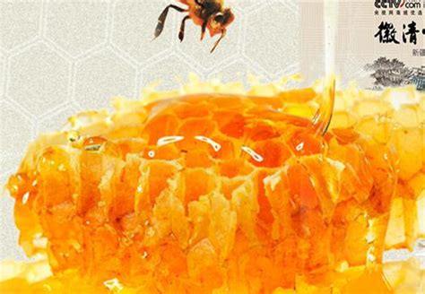 野生土蜂蜜图片素材-编号12188980-图行天下