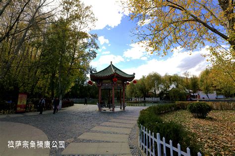 拉萨宗角禄康公园(Zongjiao Lukang Park)-中关村在线摄影论坛