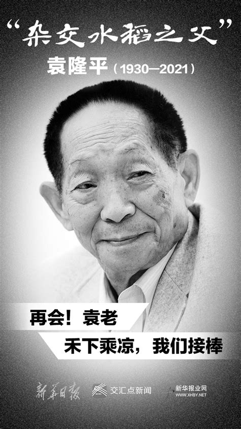 袁隆平院士逝世，享年91岁_新华报业网