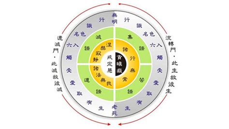 十二因缘图解图片