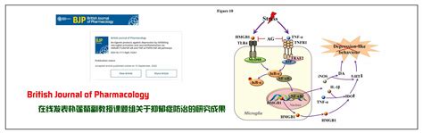 抑郁症的多药联用：五种常见合理方案简介_抗抑郁药_多药联合_增效治疗_米氮平_医脉通