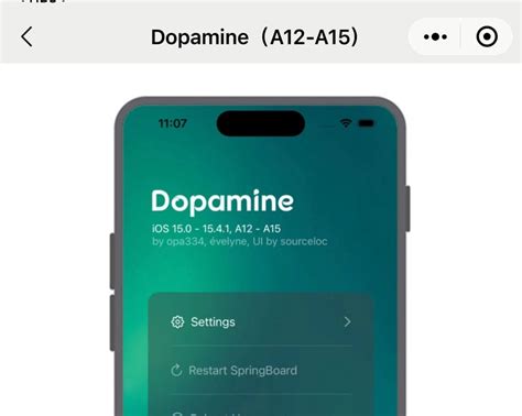 Dopamine多巴胺越狱教程-iPAPARK资源站