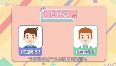 cpo是什么职位 CPO是什么意思 - 天奇生活