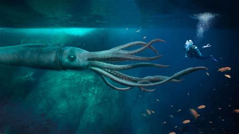 北海巨妖克拉肯，传说中的神秘怪兽，比蓝鲸大100倍_腾讯视频