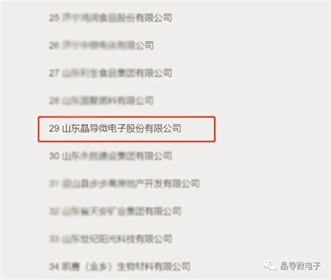 “2022年济宁民营企业100强”发布，晶导微电子上榜！-山东晶导微电子股份有限公司