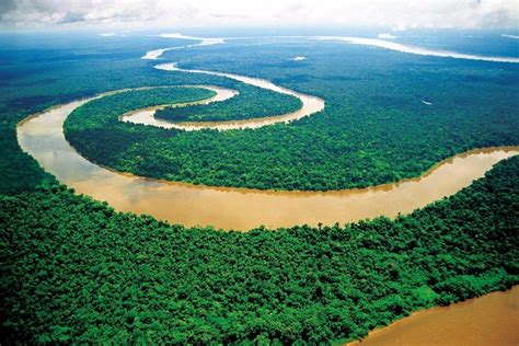 亚马逊雨林被称为动物天堂，实则是人类禁区，为什么如此恐怖？|天堂|人类|亚马逊雨林_新浪新闻