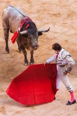 斗牛场的西班牙斗牛高清图片下载-正版图片505932021-摄图网