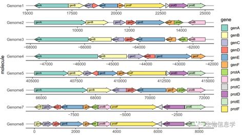 如图表示含有目的基因D的DNA片段长度和部分碱基序列.图2表示一种质粒的结构和部分碱基序列．现有MspⅠ.BamHⅠ.MboⅠ.SmaⅠ4种 ...