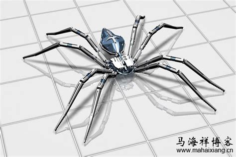搜索引擎蜘蛛的基本原理及工作流程-马海祥博客