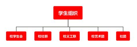 组织结构-共青团深圳技术大学委员会