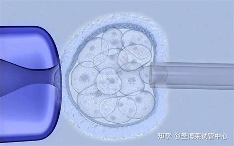试管婴儿降调后多久开始打促排卵针-深圳中山泌尿外科医院