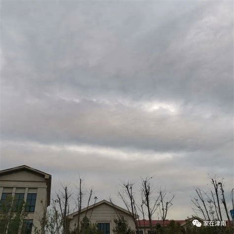 今天多云，气温仍然舒适，周五最高温将跌破20℃ - 周到上海