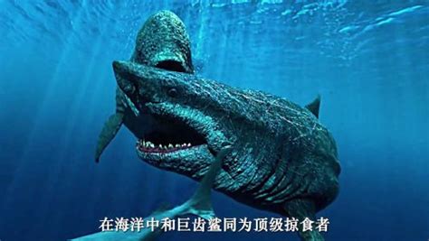巨齿鲨VS沧龙，王者之间的对决，谁才是真正的王者？