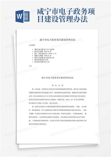 咸宁市电子政务项目建设管理办法Word模板下载_编号lwdnabvg_熊猫办公