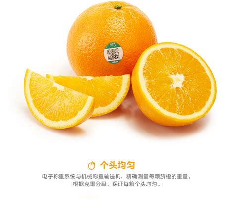 农夫山泉 17.5度橙 新鲜橙子 铂金装3kg-聚超值