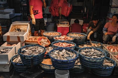 东山肉菜市场设计赏析