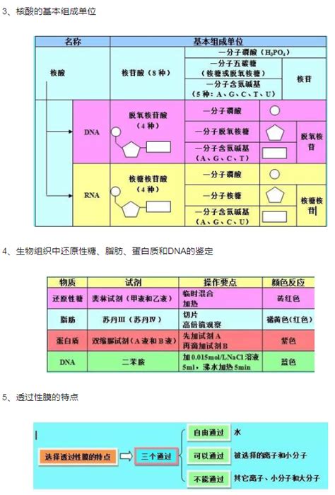 2019高中生物知识框架图 高考生物必背知识点总结_有途教育