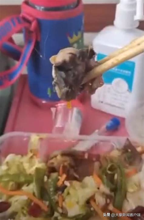 湖南怀化一学校食堂吃出“老鼠头”？教育局人员称“不可能”，市监部门：尚待调查_兔肉_相关_小学