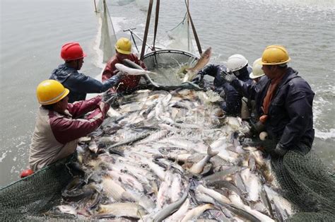 南海海域休渔 市场部分海鲜价格小幅上涨_邑闻_江门广播电视台