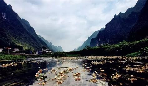 河池都安多地农作物被淹-广西高清图片-中国天气网