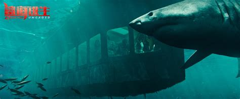 好莱坞灾难大片《鲨海逃生》即将上映 首曝中文先导预告及海报