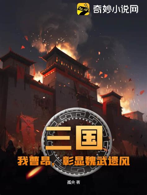 《三国之曹昂大帝》小说在线阅读-起点中文网