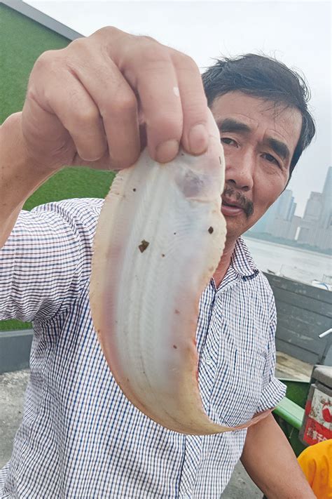灵川：网收鱼跃 青狮潭库区村生态养鱼迎收获-桂林生活网新闻中心