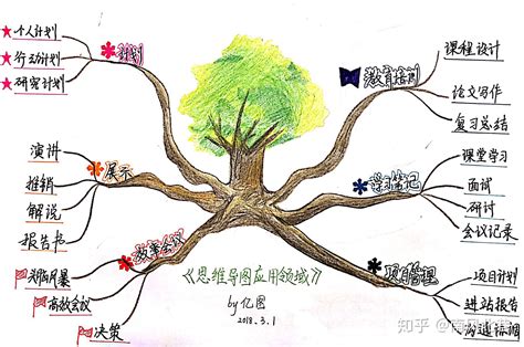 思维导图简单图片