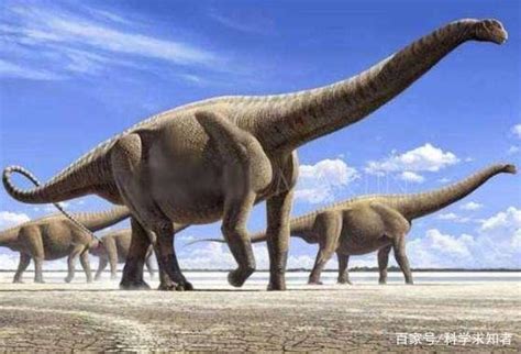 恐龙图片_恐龙图库恐龙品种图片大全，恐龙复原图高清恐龙图片大图下载