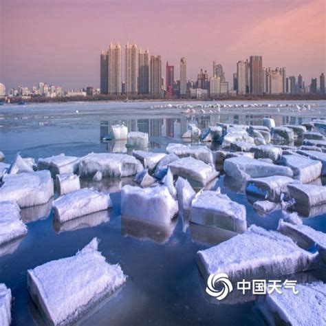 哈尔滨天气回暖 松花江“跑冰排”场面壮观-图片频道