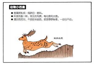 家庭鹿的寓意和象征,鹿在风水中的象征,云和鹿的寓意(第3页)_大山谷图库
