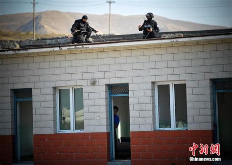 伊犁州警方“断卡”行动抓获违法犯罪人员233人- 新疆平安网
