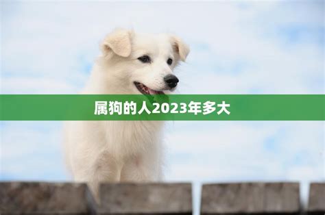 属狗的人2023年多大(狗年人的年龄计算方法及注意事项)