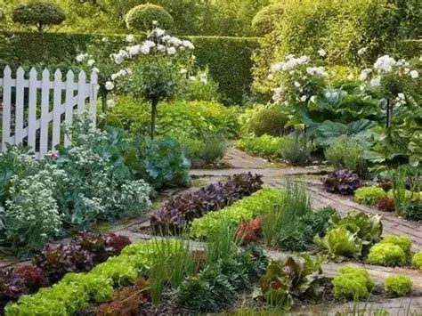 微园林|可食地景 · 花园式菜园的设计妙招_房产资讯_房天下