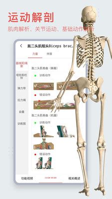 3dbody解剖app免费版-3dbody三维免费人体解剖软件-3dbody解剖学2024