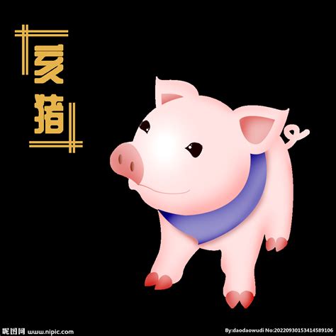 中国风十二生肖猪图案矢量图png图片免费下载-素材7izVqaejq-新图网
